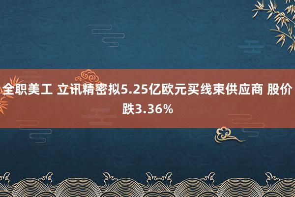 全职美工 立讯精密拟5.25亿欧元买线束供应商 股价跌3.36%