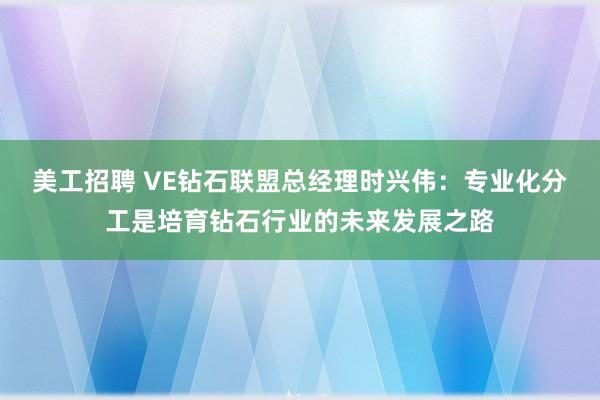 美工招聘 VE钻石联盟总经理时兴伟：专业化分工是培育钻石行业的未来发展之路